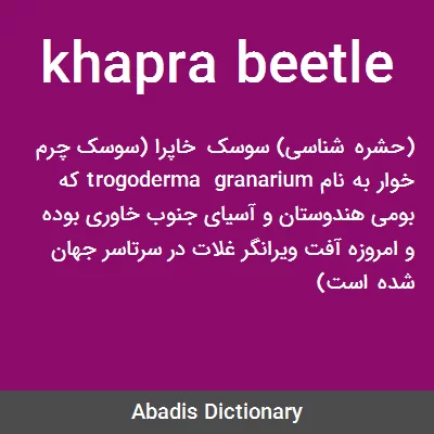 معنی khapra beetle